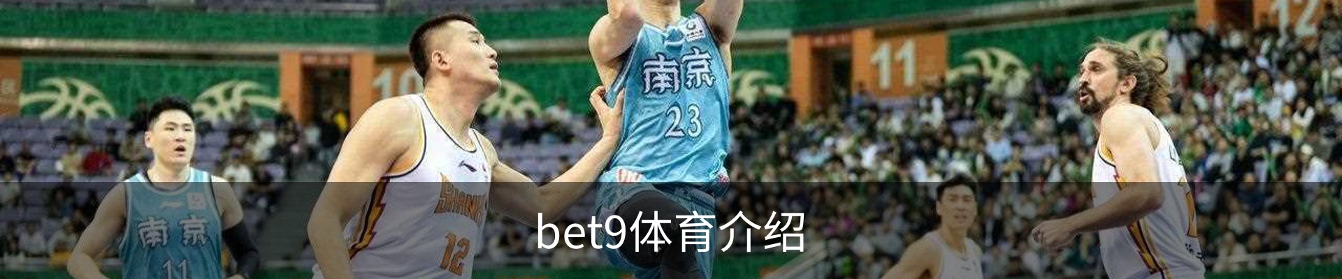 bet9体育介绍